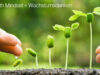 Blogartikel Growth Mindset - für Lebenslange Freude am Lernen