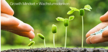 Blogartikel Growth Mindset - für Lebenslange Freude am Lernen