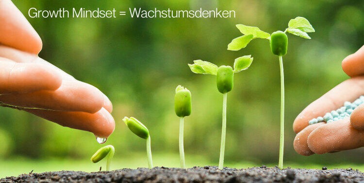 Blogartikel Growth Mindset - für Lebenslange Freude am Lernen